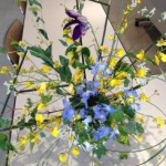s_IMG_0589